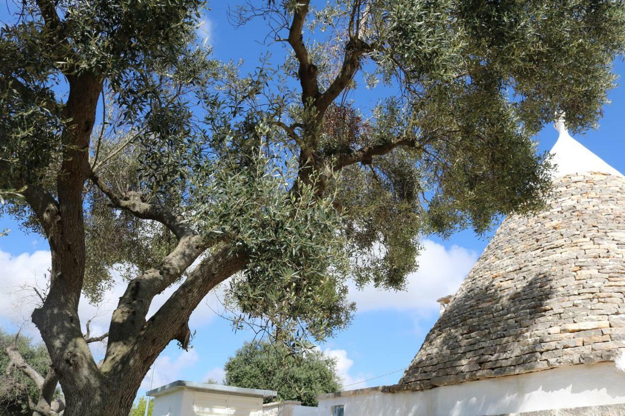 Trulli Alla Controra Conversano Exterior photo